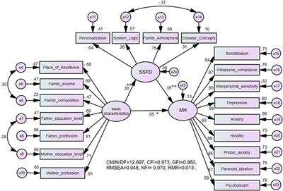 The Relationship Between Mental Health Problems and Systemic Family Dynamics Among High School and University Students in Shaanxi Province, China